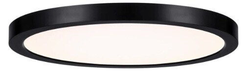Savory House 12" Wide LED Flushmount - Black
