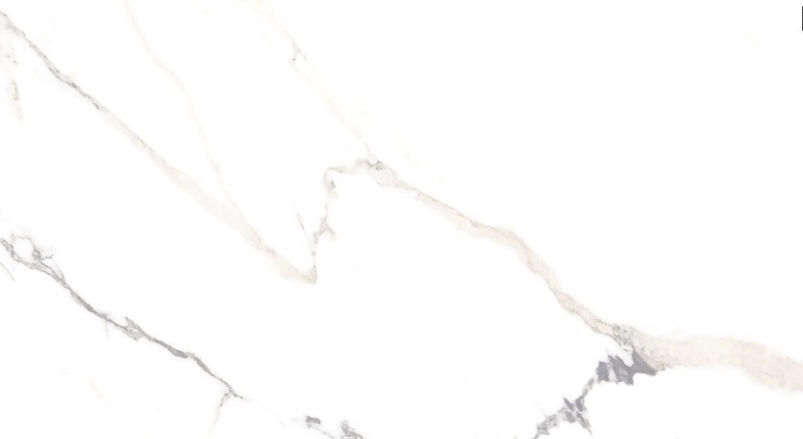 Polaris White Matte 12x24 (Roca)