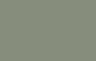 Sage Green Accent Color