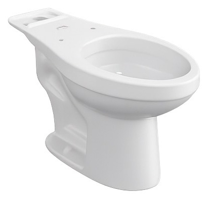 Toilet bowl, client-provided reference photo