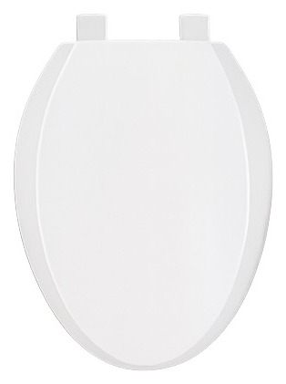 Toilet seat, client-provided reference photo